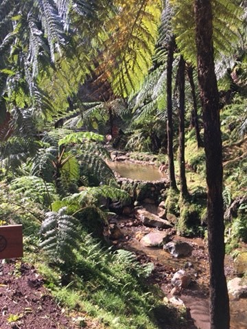 Lugar Caldeira Velha