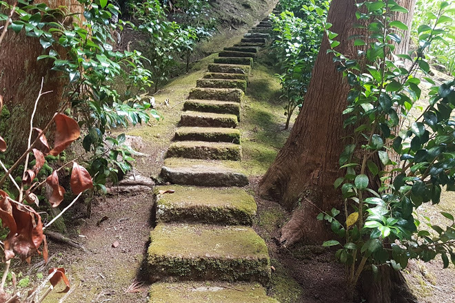 Lugar Reserva Florestal de Recreio das Fontinhas