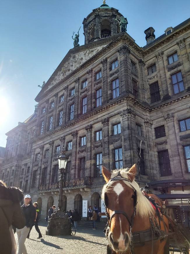 Place Palacio Real de Ámsterdam