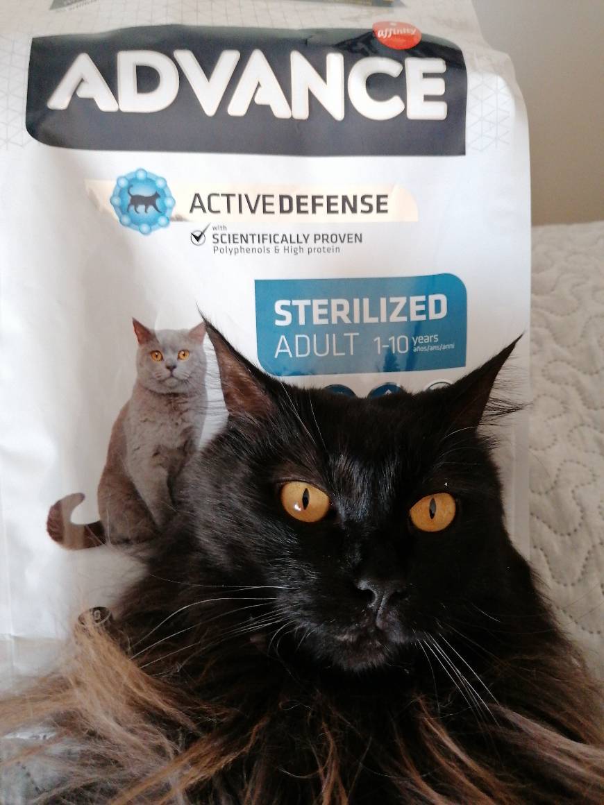 Social Advance Sensitive Pienso para Gato Esterilizado Adulto con Salmón