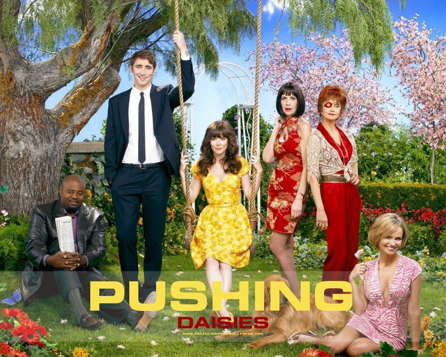 Serie Pushing Daisies 