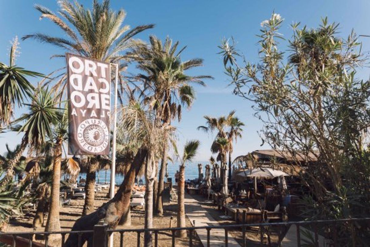 Restaurants Trocadero Playa