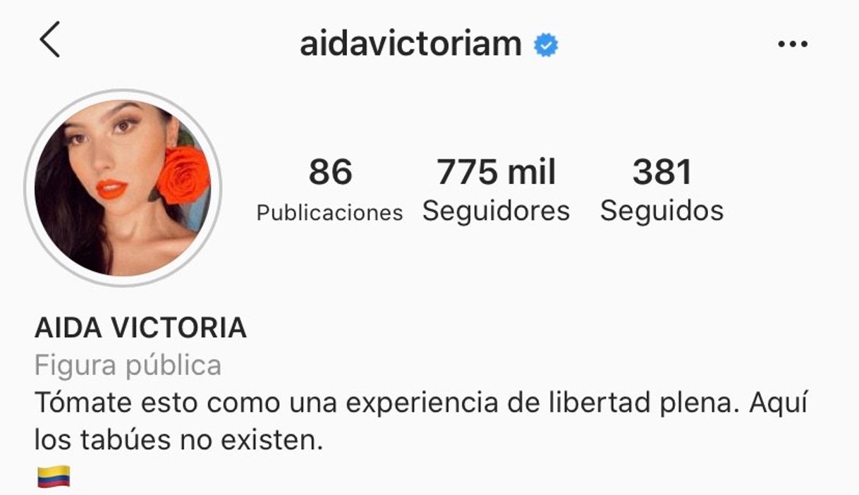 Place Perfil de Instagram 