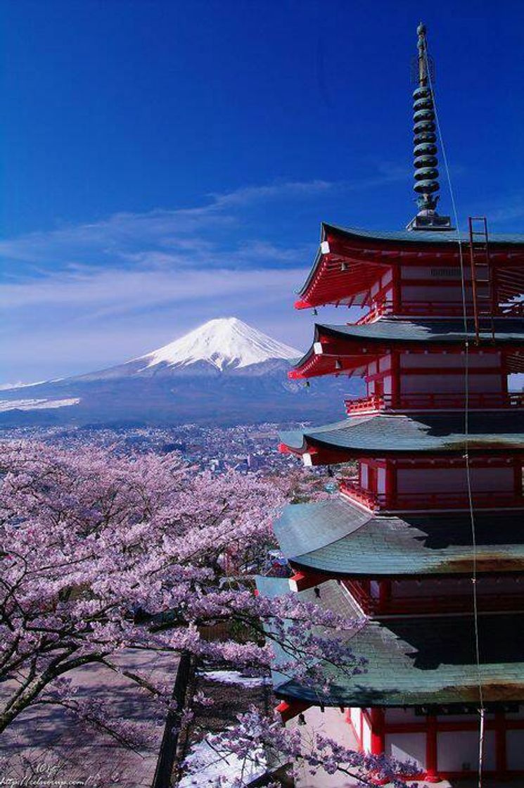 Social MONTE FUJI - JAPÃO