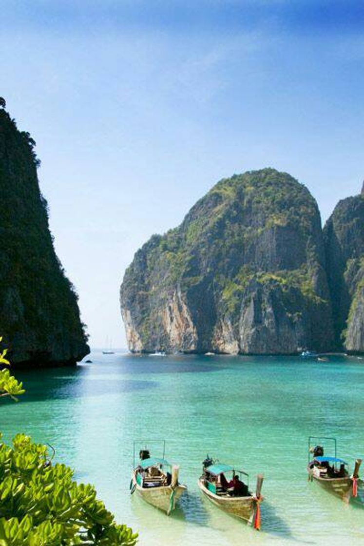 Social ILHAS PHI PHI - TAILÂNDIA