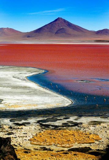 LAGUNA COLORADA - BOLÍVIA