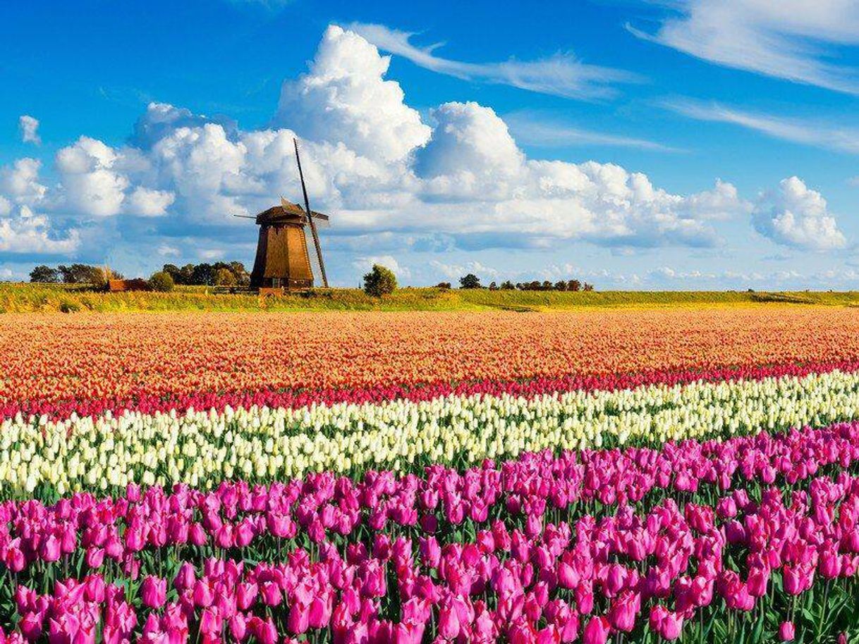 Moda KEUKENHOF PARK - HOLANDA