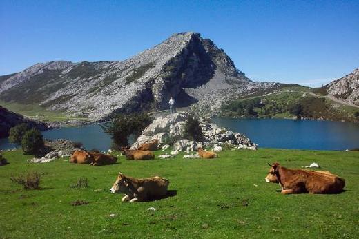 Lagos de Covadonga