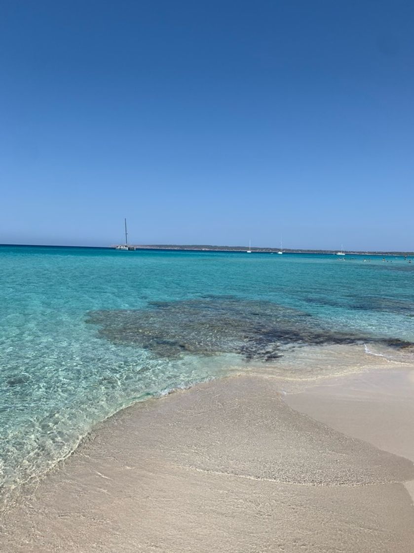 Place Playa de Migjorn