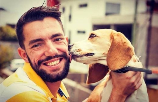 Como Cuidar de Um Beagle: Tudo Que Você Precisa Saber Sobre Os