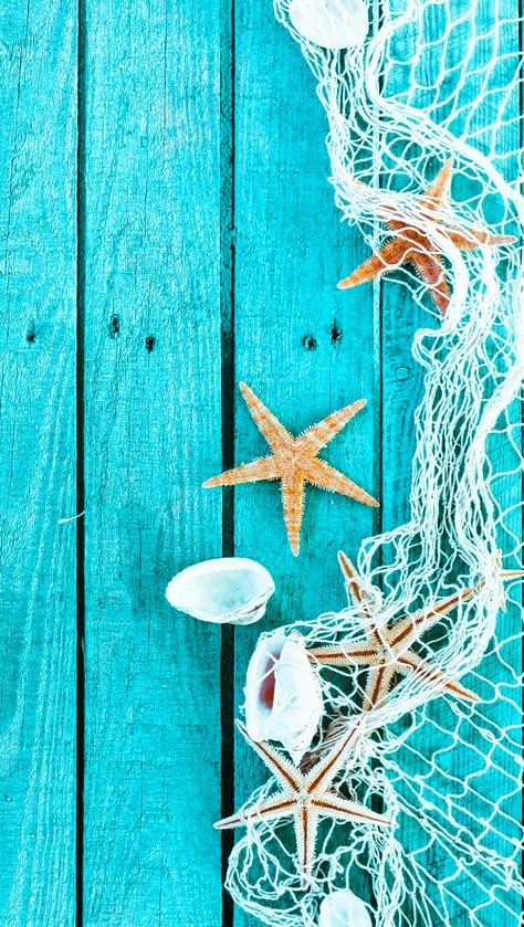 Estrelas do mar