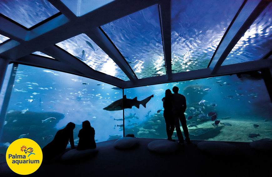 Place Palma Aquarium