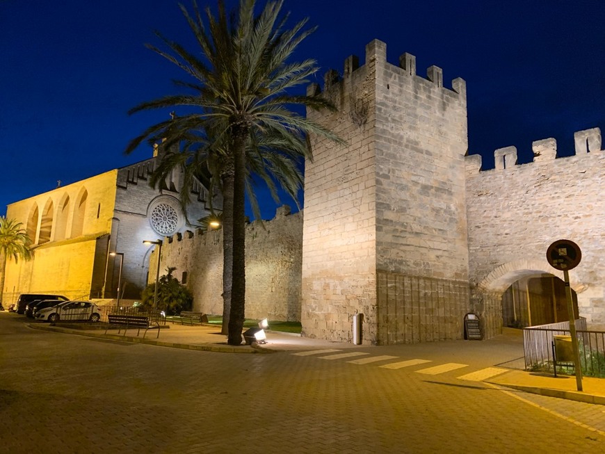 Place Church of Sant Jaume de Timor