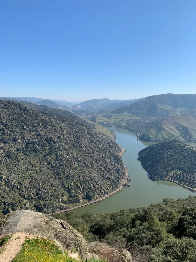 Lugar Miradouro de São Salvador do Mundo