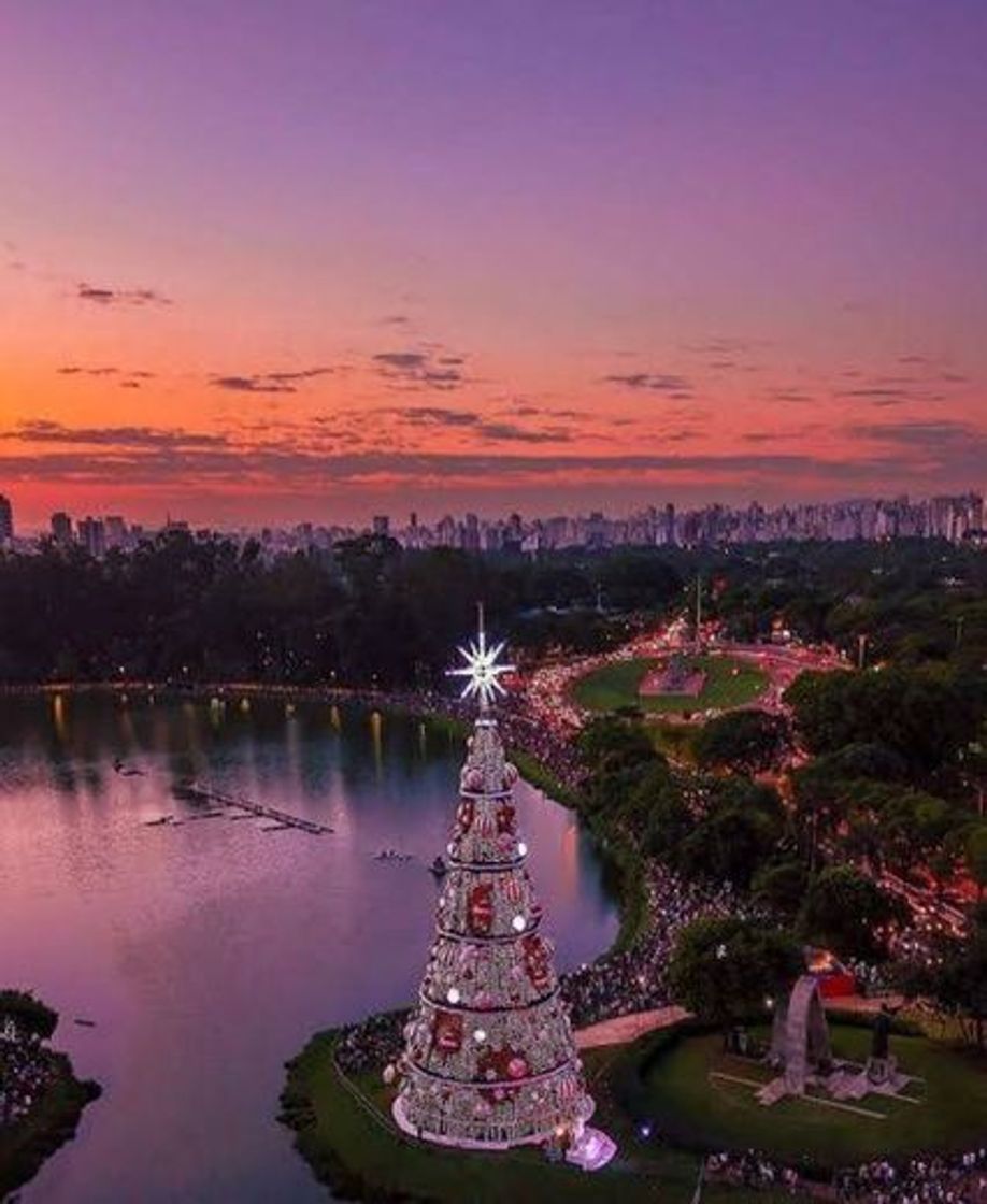 Place Parque Ibirapuera