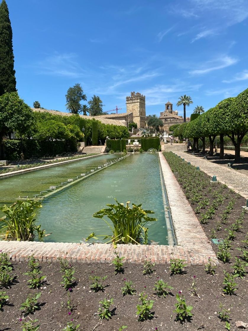 Place Alcázar de los Reyes Cristianos