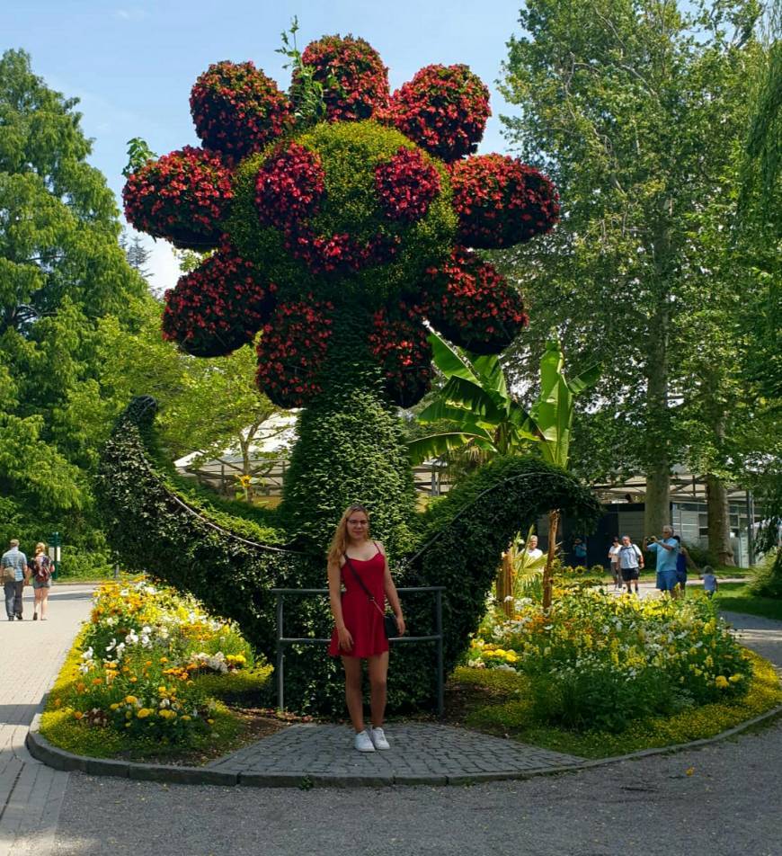 Place Ilha Mainau