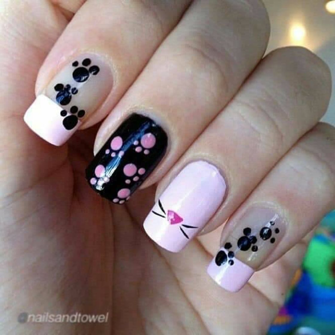 Moda Unhas de gatinhos