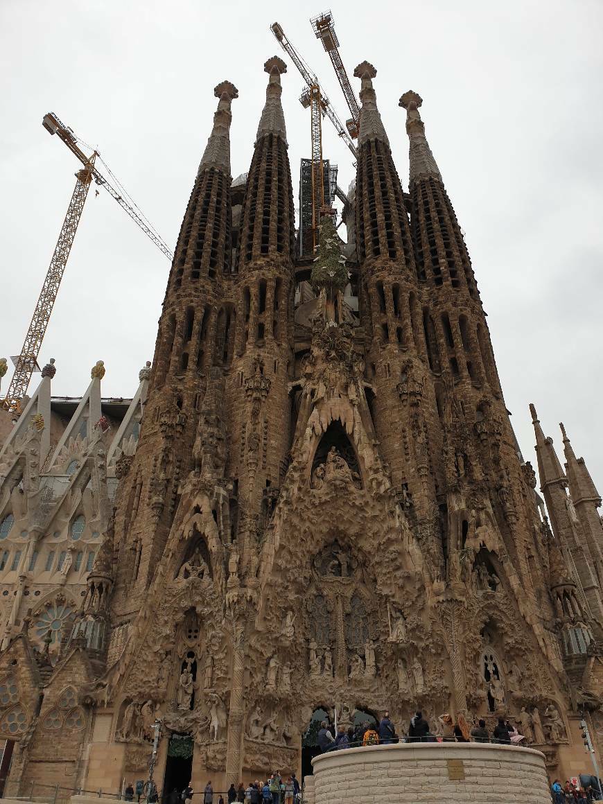 Lugar Catedral de Barcelona