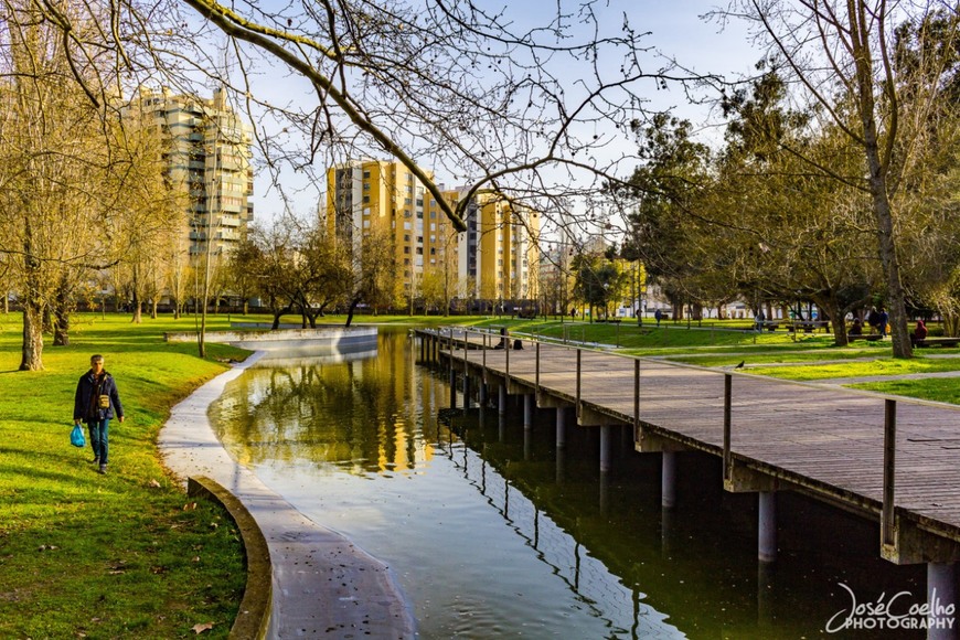 Lugar Quinta das Conchas