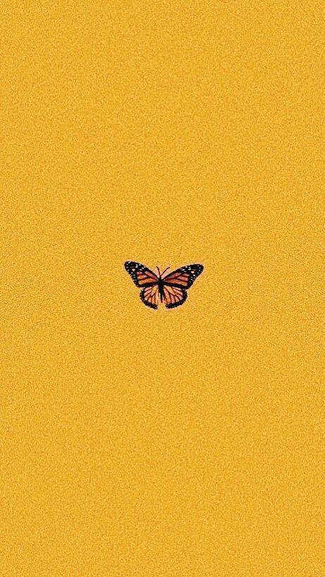 Borboleta 