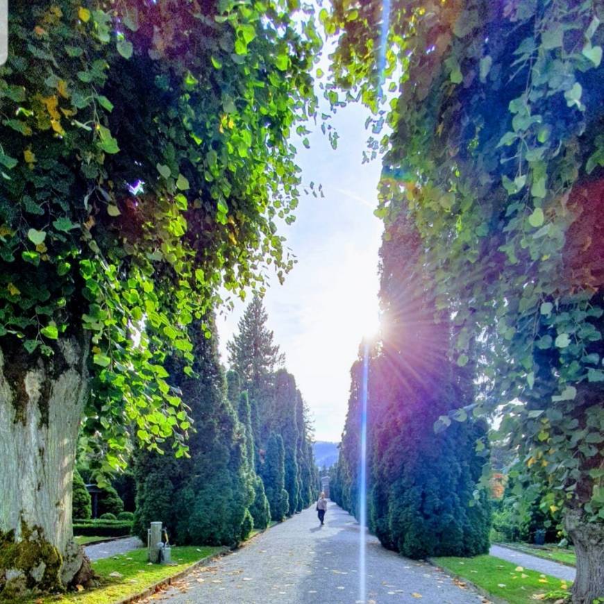 Places Krematorium Friedhof Meisenhard