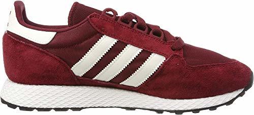 adidas Forest Grove Zapatillas de Gimnasia Hombre, Rojo