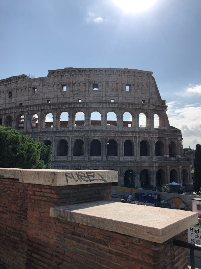 Place Coliseo de Roma