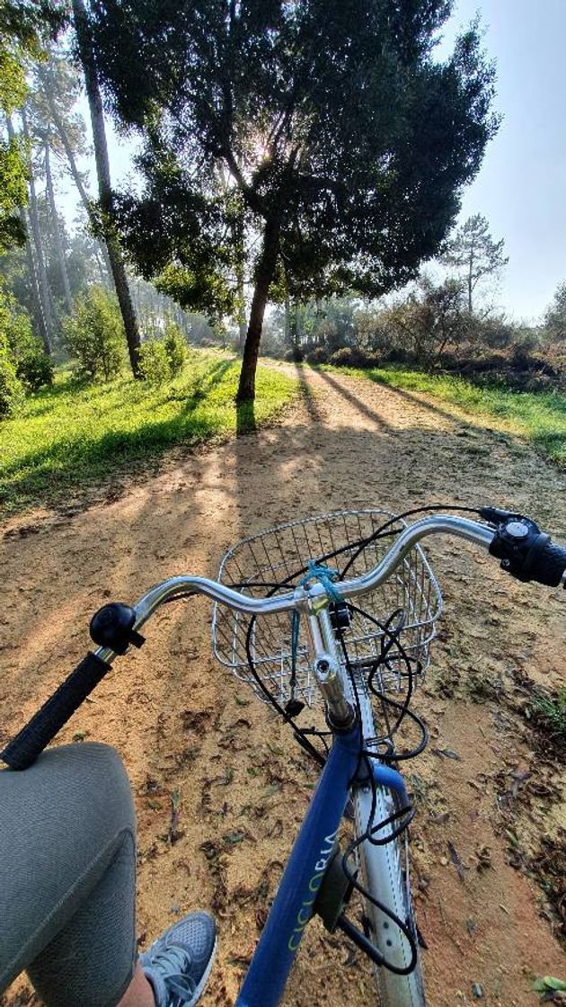 Lugar Buçaquinho Park