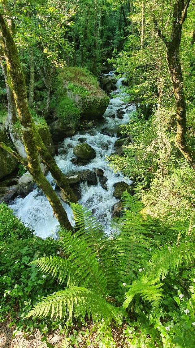 Lugar Barragem da Queimadela - Fafe