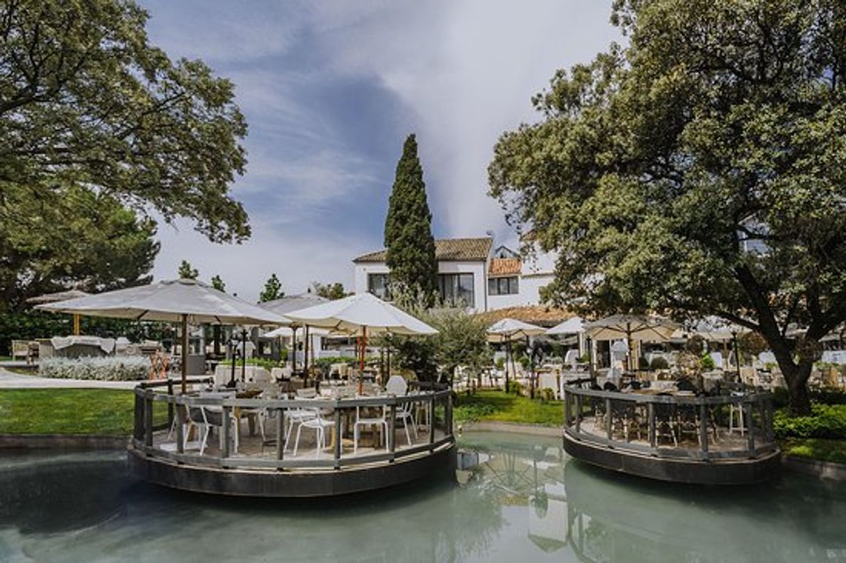 Restaurants El Jardín de La Máquina