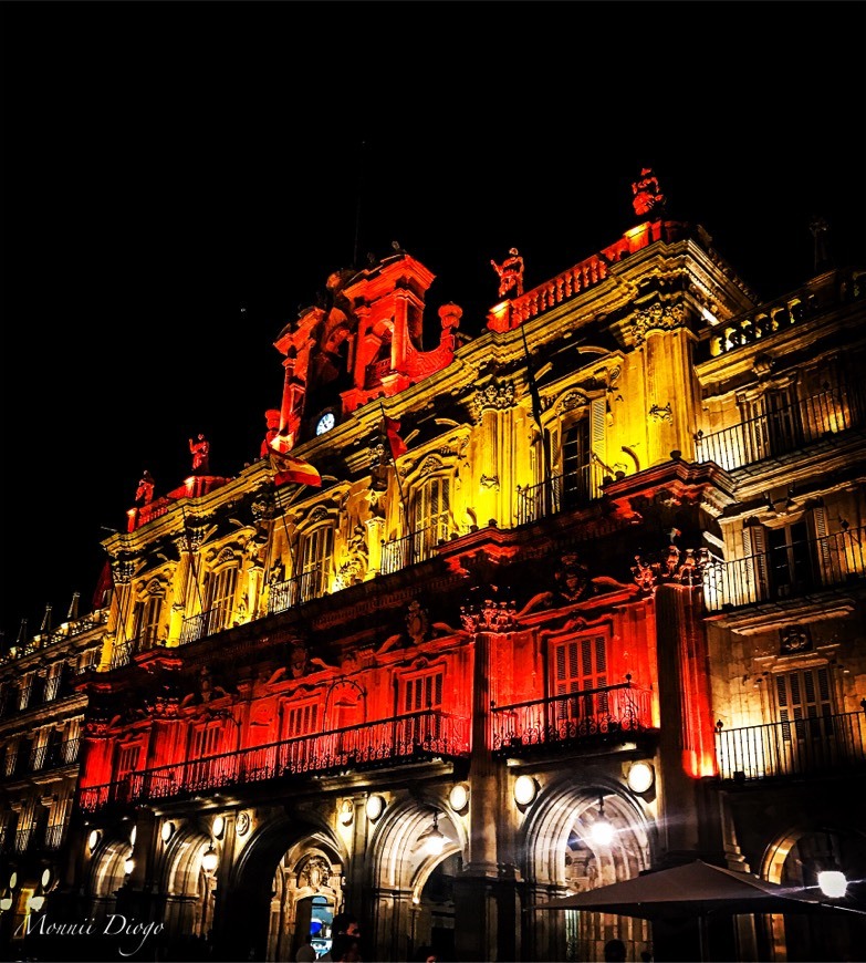 Place Plaza Mayor