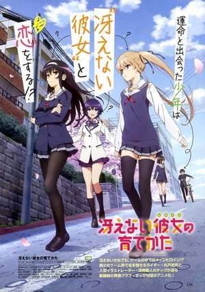 Serie Saenai Heroine no Sodatekata