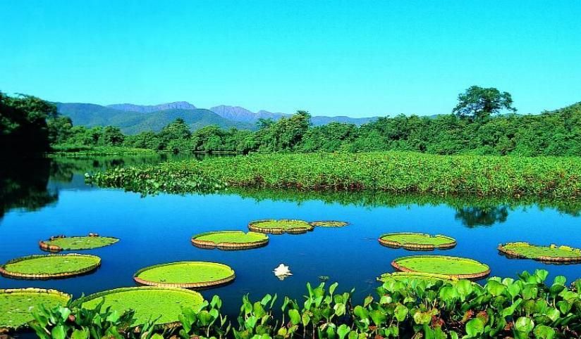 Lugar Pantanal