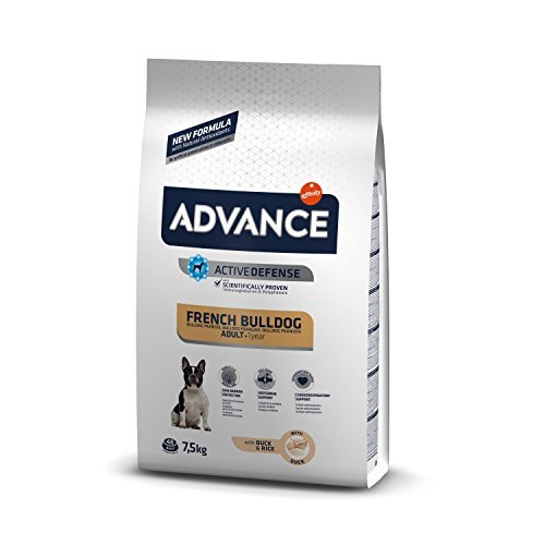 Social Advance Advance Pienso para Perro Bulldog Francés con Pollo