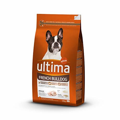 Lugar ultima Pienso para Perros French Bulldog