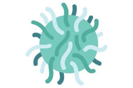 Por que o coronavírus pode levar a sintomas graves, complica