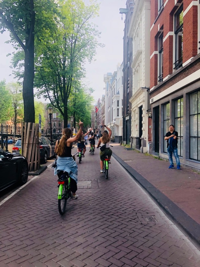 Place Green Bikes Rentale Amsterdam Redlight