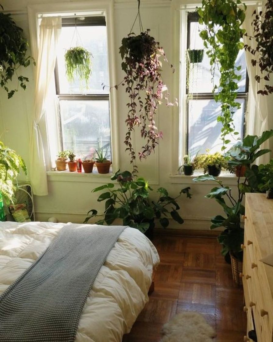 Quarto com plantas 