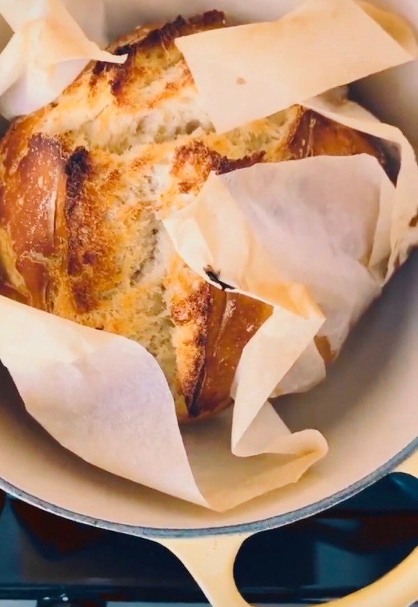 Social PÃOdemia