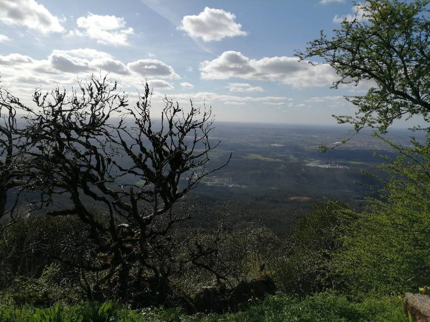 Lugar Serra do Buçaco