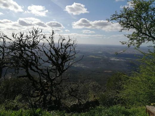 Serra do Buçaco