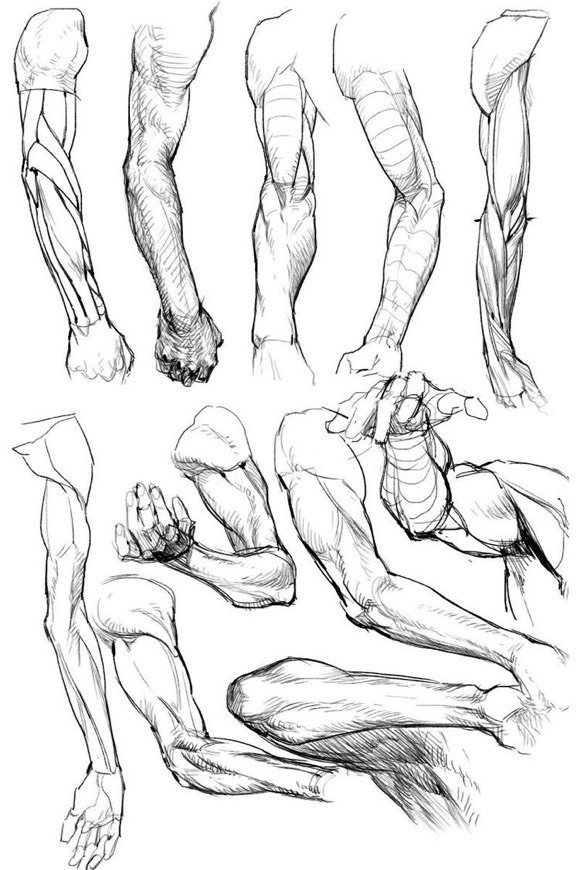 ARTES - Wikipedia