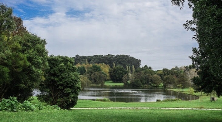 Lugar Parque da Cidade