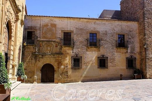 Palacio de los Cáceres-Ovando