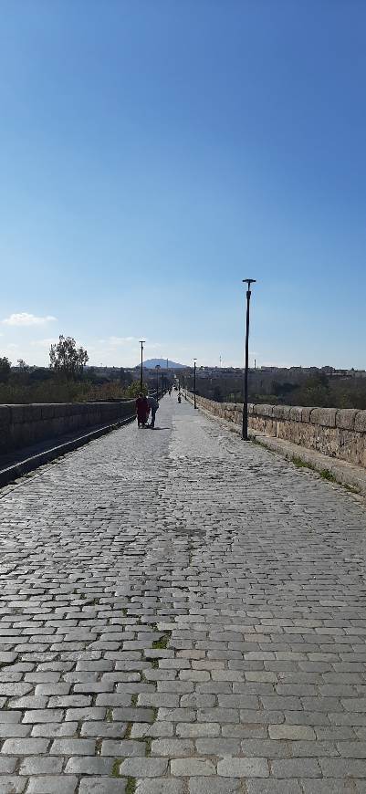 Place Puente romano