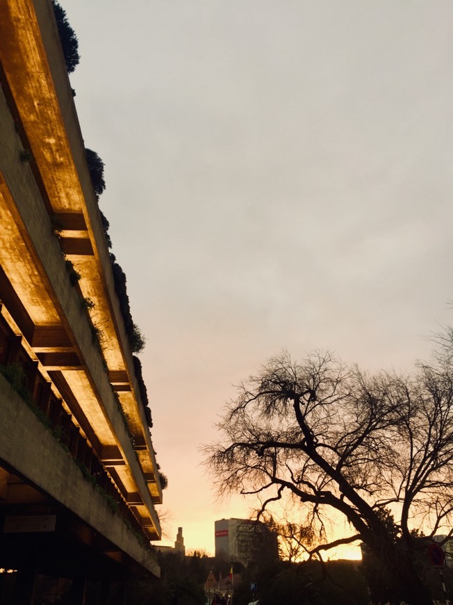 Lugar Calouste Gulbenkian Foundation