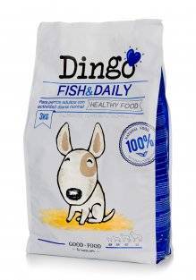 Fashion Dingo fish and daily