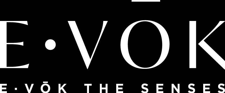 Social E-Vok the senses