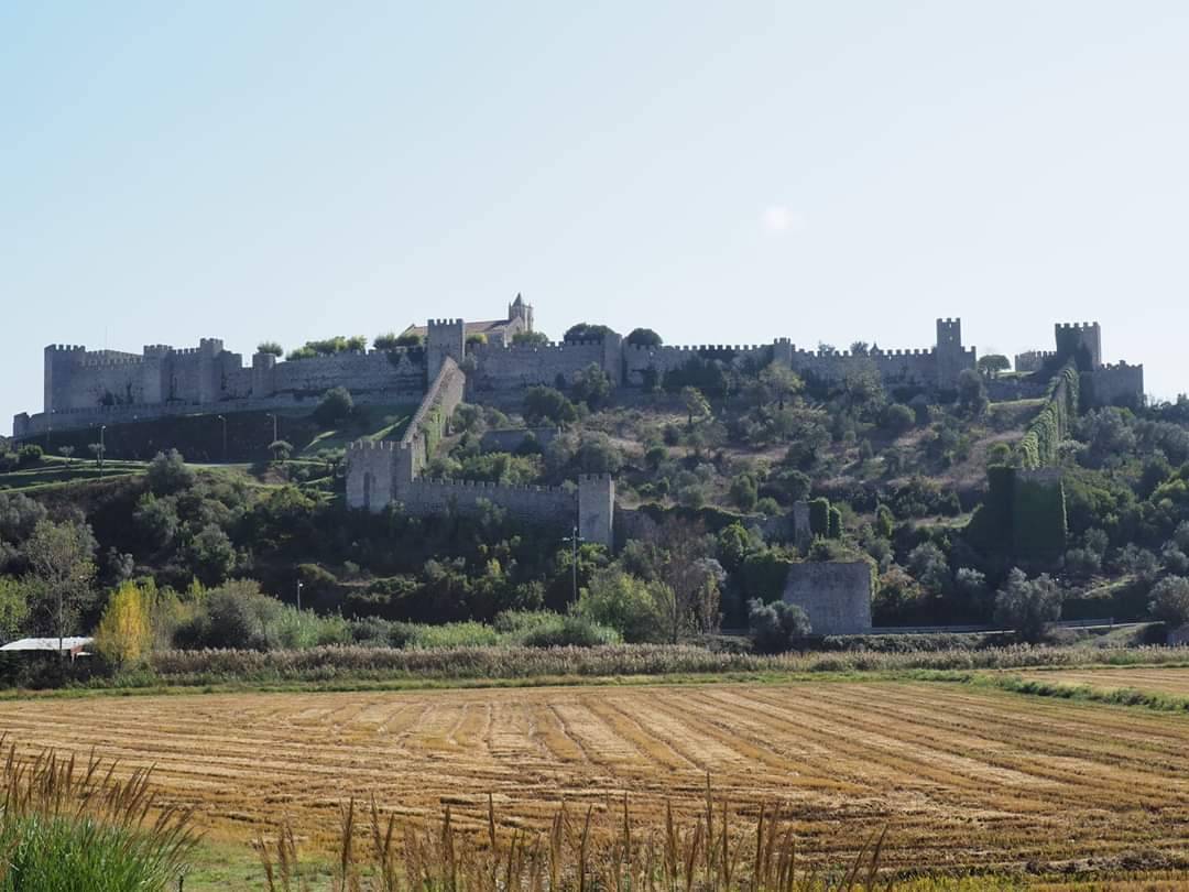 Lugar Castelo de Montemor-o-velho